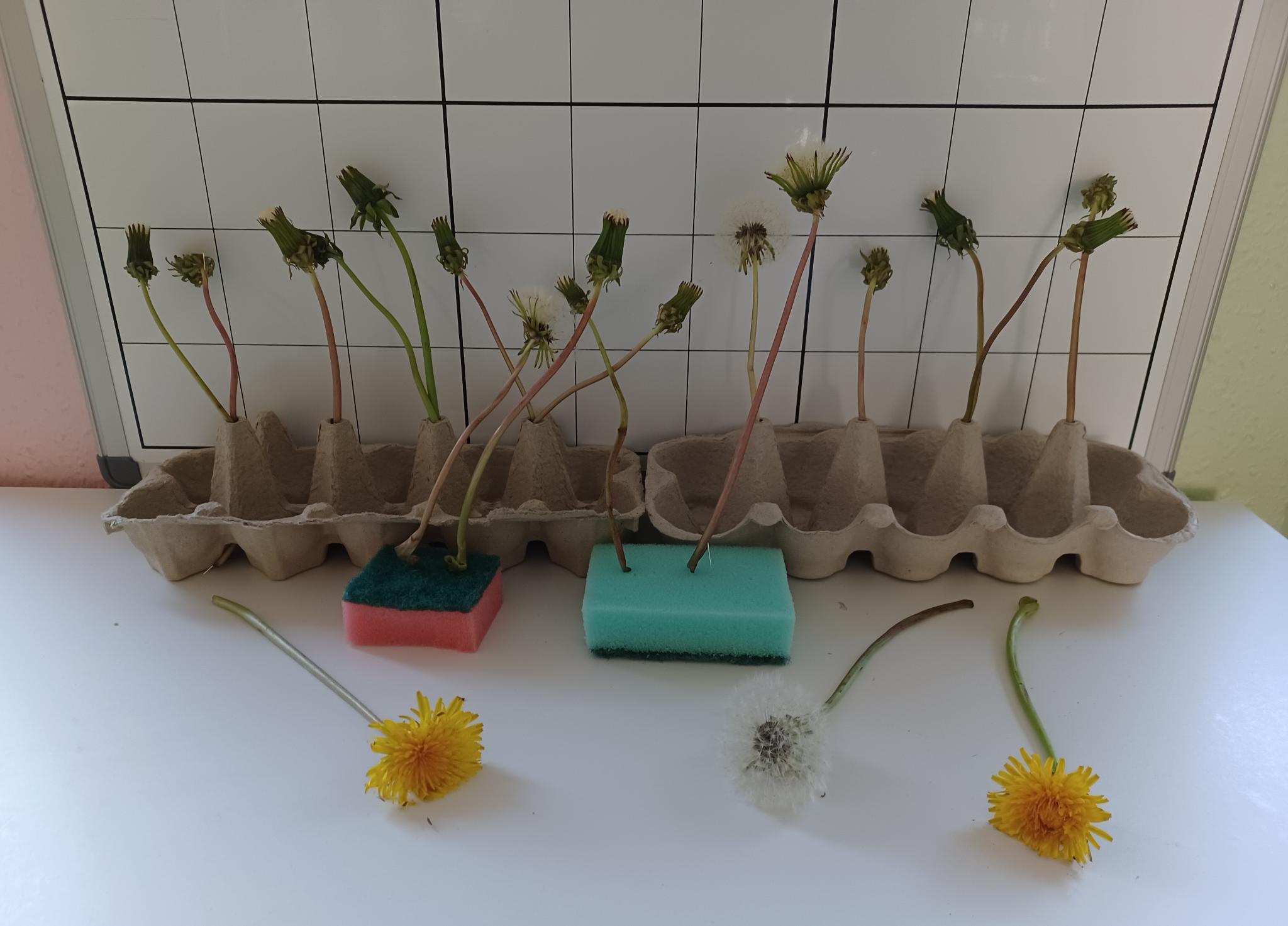 20250606 171735426 iOS